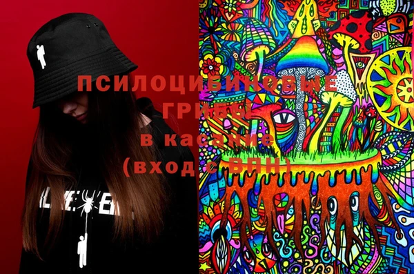 СК Сосновоборск